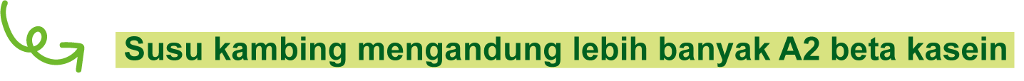 Susu kambing mengandung lebih banyak A2 beta kasein