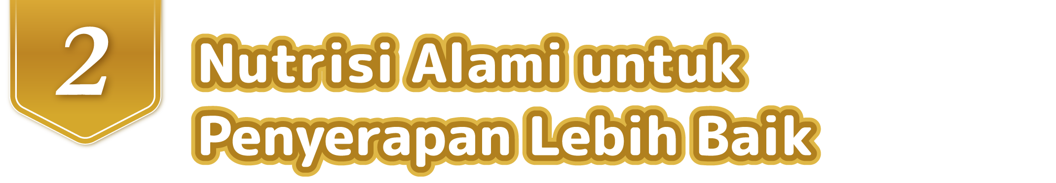 Nutrisi Alami untuk Penyerapan Lebih Baik